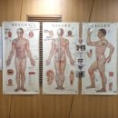 웰니스디톡스족욕카페 이미지