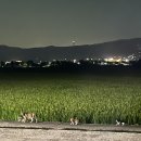 뉴라이프병원 이미지