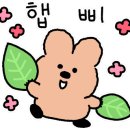 버블독스(안산초지점) 이미지