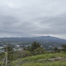 제주도 남서부·가파도·마라도 티스토리