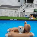 스카이N스파펜션 이미지