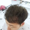 퍼니스핀 네이버블로그