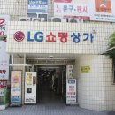 네일시즈닝