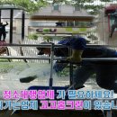 청소보건지소 이미지