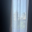 해운대로608번길 보행자우선도로 | [부산여행DAY2] 해운대 블루라인파크 탑승 후기(미포 - 청사포)