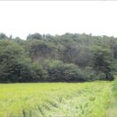 포항시북구4 이미지