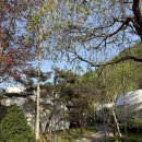 파인숲 | 가평 파인포레스트 글램핑 후기 ｜내돈내산 만족! 숲속 힐링 제대로 서울 근교 글램핑 추천