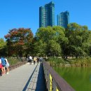 서울숲10 이미지