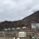 진가네추어탕 이미지