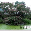 함평 경회루 이미지