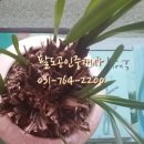 팔도부동산공인중개사사무소 이미지