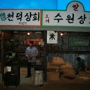 수원-1960 티스토리