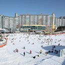 웰리힐리파크 이미지