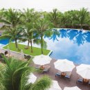 노바골프 이미지