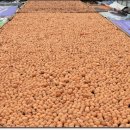 송천목장 이미지