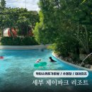 제이아쿠아짐 | 세부 제이파크 리조트 막탄스위트가든뷰 마루룸 수영장 데이유즈 팁 등 숙박 후기