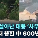 (채널A)다시 살아난 태풍'사우델'..뿌리채 뽑힌 中 600년 나무/2026.9.4. 이미지