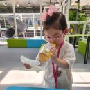 전주 근교 전라도 임실여행 무료 실내놀이터 물놀이터 명정원예 곰의꽃하나 솔직 후기