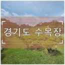 (주)우리은행 용인지점 | 경기도 수목장 용인 수목장 vs 곤지암 수목장 장점 비교해보니