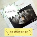 에덴생활건강 | 광주 에덴병원 초진 진료 (평일 오전 대기시간, 진료비, 주차, 임신확인서, 마미톡 등)