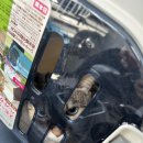 다솜켄넬 이미지