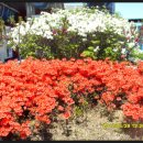 정다운휴게소 이미지