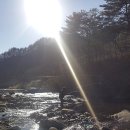 2017년 봄맞이 계곡 여행 이미지