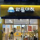 와플대학2지구캠퍼스