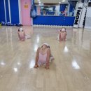 아이맘 태권도 이미지