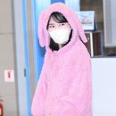 핑크토끼 이미지