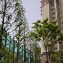 한라비발디공인중개사사무소 이미지