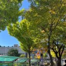 동래센트럴정형외과의원 이미지