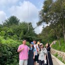 백운산 텃골 팬션 이미지