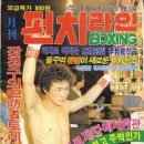 크로스펀치 이미지