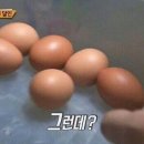 세탁의 달인 이미지