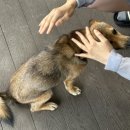 하회 휴펜션 이미지