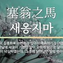 시심마 네이버블로그