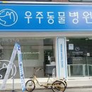 자연동물병원 이미지