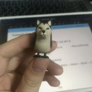 윤석컴퍼니