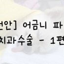 크라운 동물병원 이미지