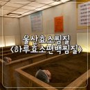 하루효소편백 이미지