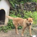 사랑을위하여 이미지