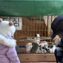 도움목장2 이미지