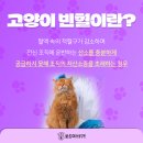봉곡동물병원 이미지
