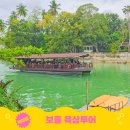 통합차량 정차구역 우측 | 보홀 육상투어 코스 추천 초콜릿힐, 안경원숭이, 반딧불 투어 하루 코스