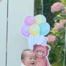 라라킴 | 원주 누리다스냅·다이닝원·메리골드 돌잔치부터 춘천 미미벌룬까지 — 강원도 촬영 새 소식