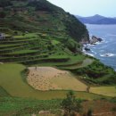 남해-298 이미지