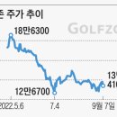 하나골프주