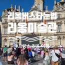 카페드리스 | 프랑스 리옹 여행. 리옹 버스타는 법, 리옹미술관, 리옹시청사광장 거리응원