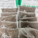 푸른사료 | 늘씬한 몸매 유지를 위한 샴고양이사료 솔루션